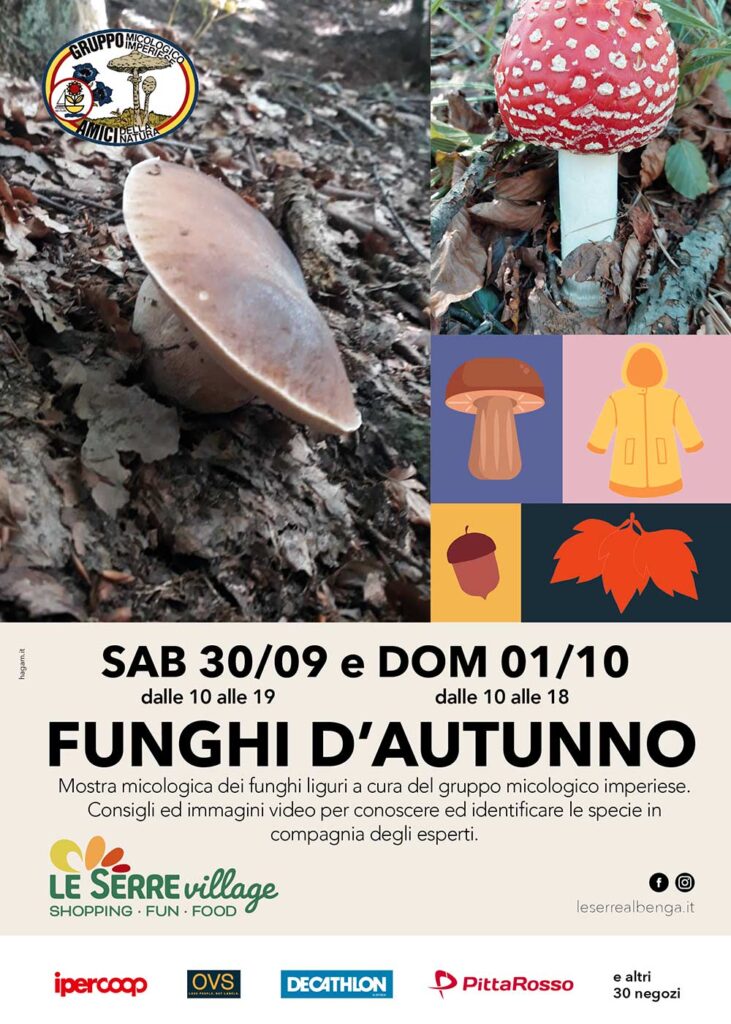 Funghi d'autunno